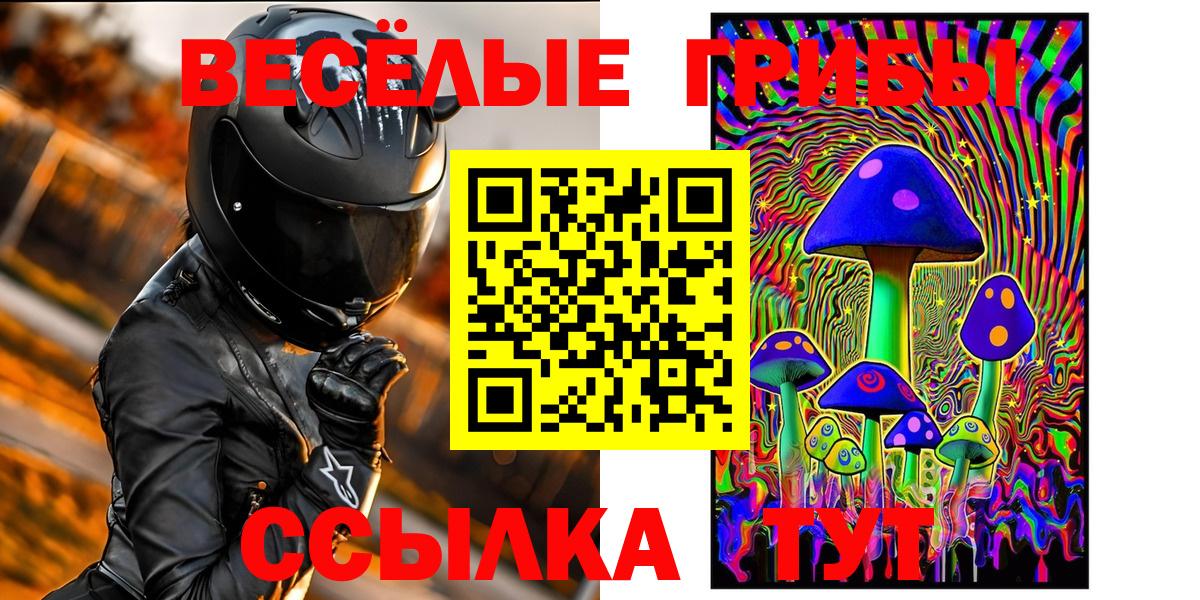 Псилоцибиновые грибы мицелий Юрга